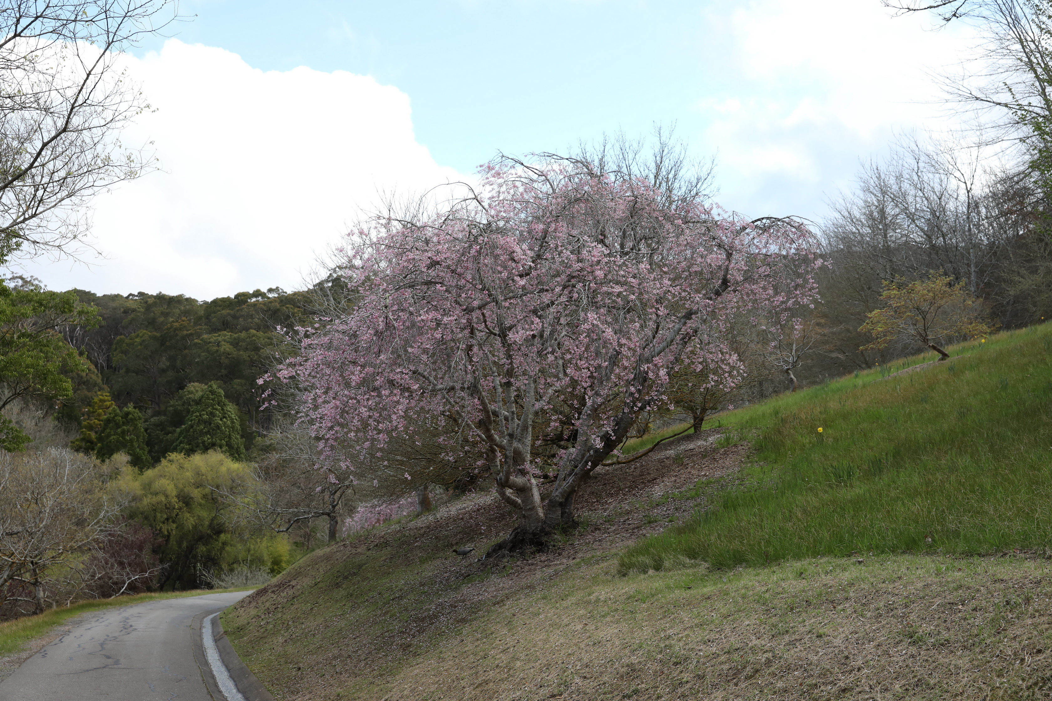 2019 09 21 16 27 21 Canon EOS 5D Mark IV 0023